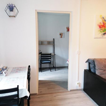 Romanilor - Studio First Floor 德瓦 外观 照片