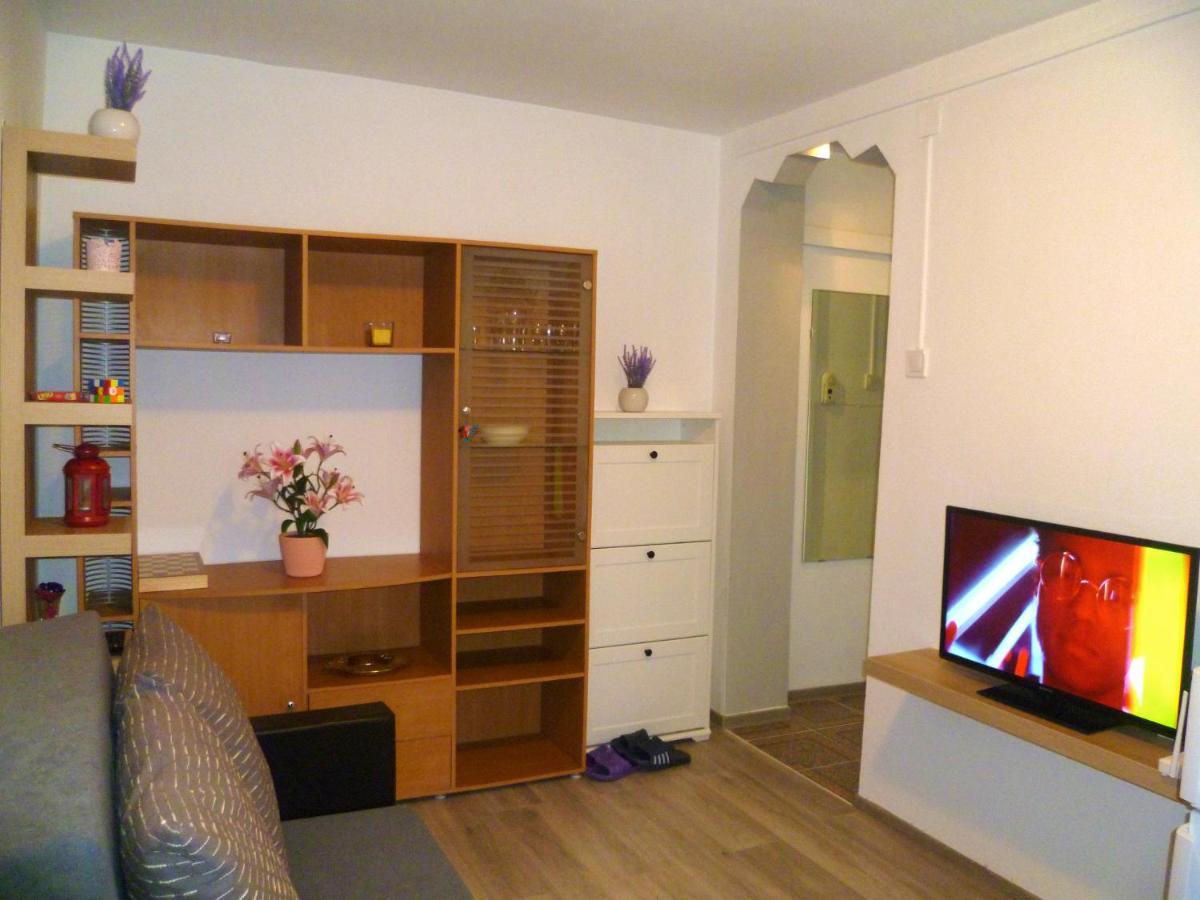 Romanilor - Studio First Floor 德瓦 外观 照片
