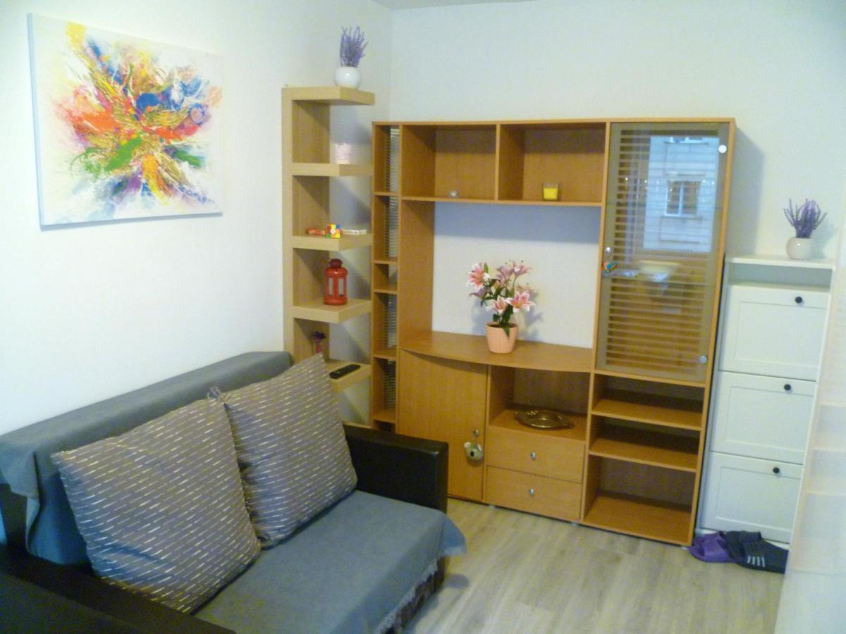 Romanilor - Studio First Floor 德瓦 外观 照片